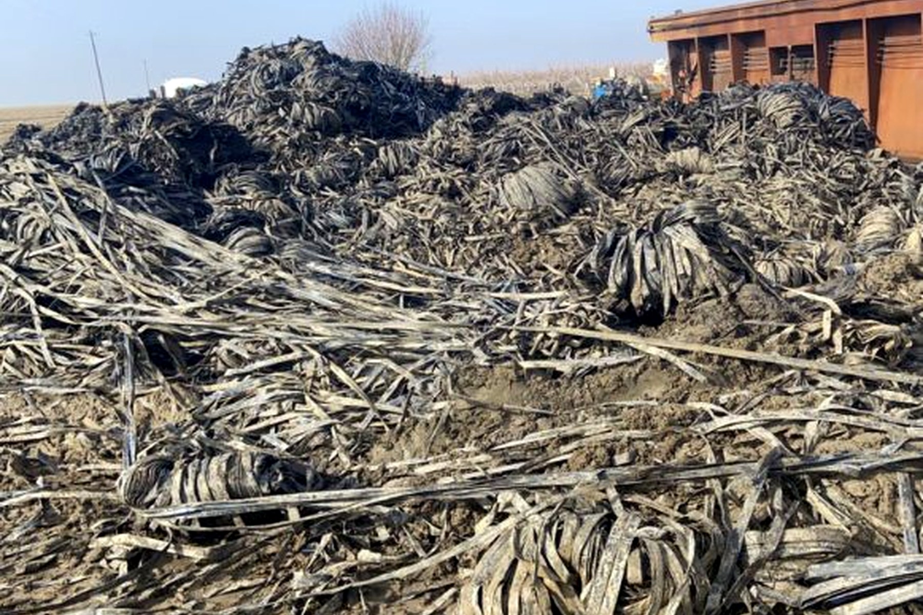 Agricultural plastic pile